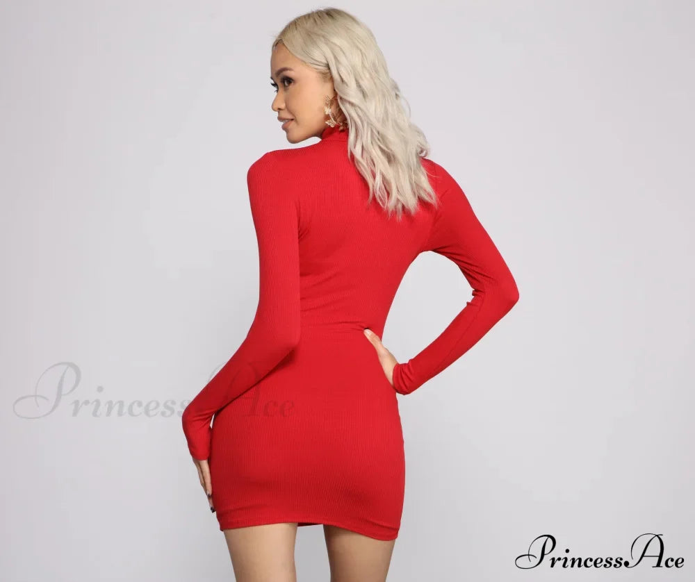Basic Ribbed Knit Charming Long Sleeve Mini Dress